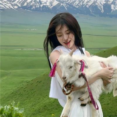 特工绍特